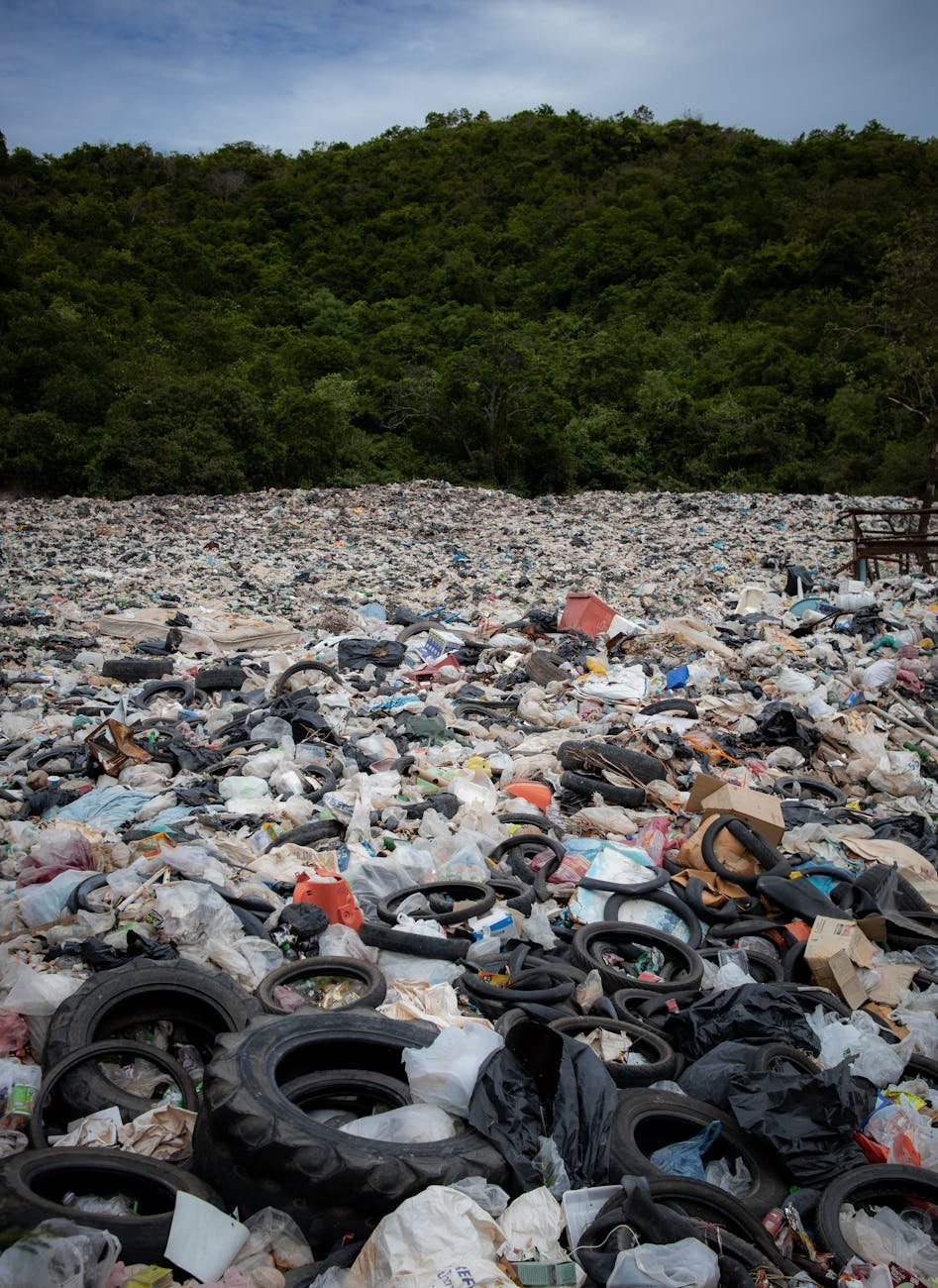 landfill near trees