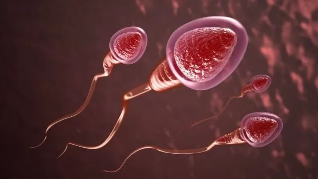 Understanding Low Sperm Count: Causes and Solutions