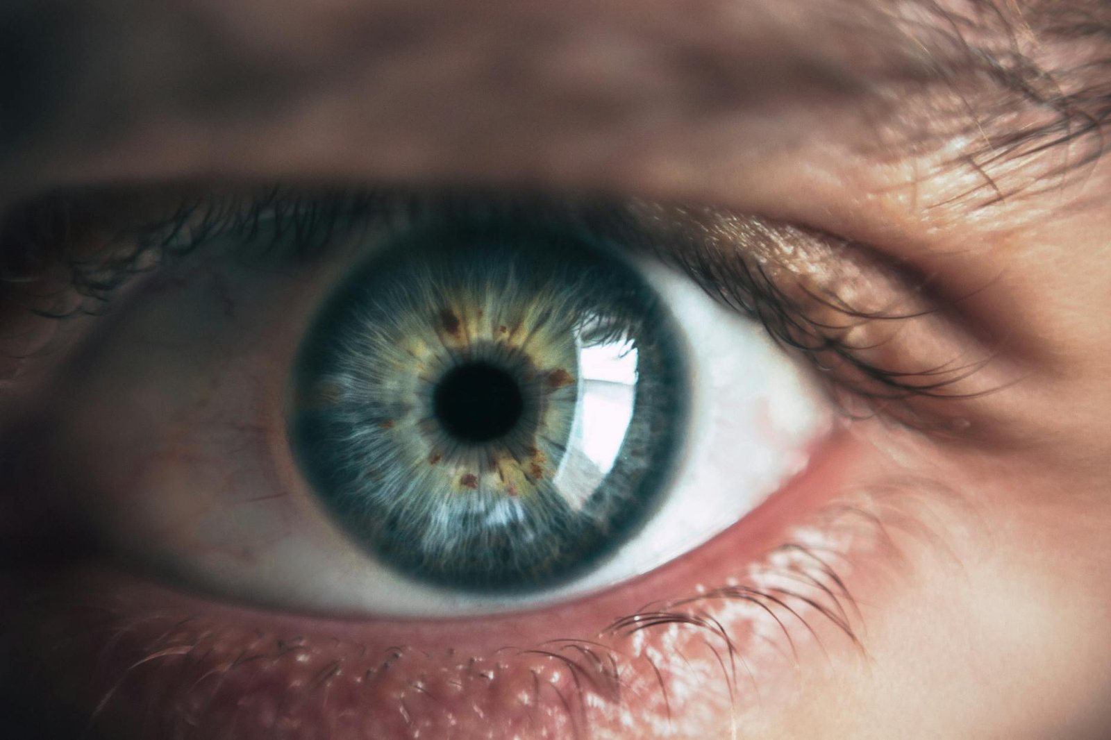 Understanding Common Eye Disorders and How to Prevent Them